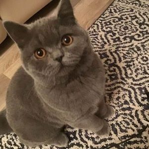 Meet your Posher, Cathy